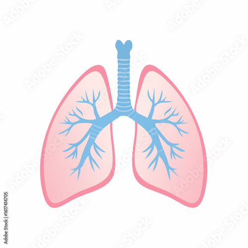Vector icon of a pair of lungs, stylized with trachea and bronchi visible, light blue and pink color scheme