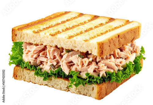 Healthy Homemade Tuna Salad Sandwich Close Up