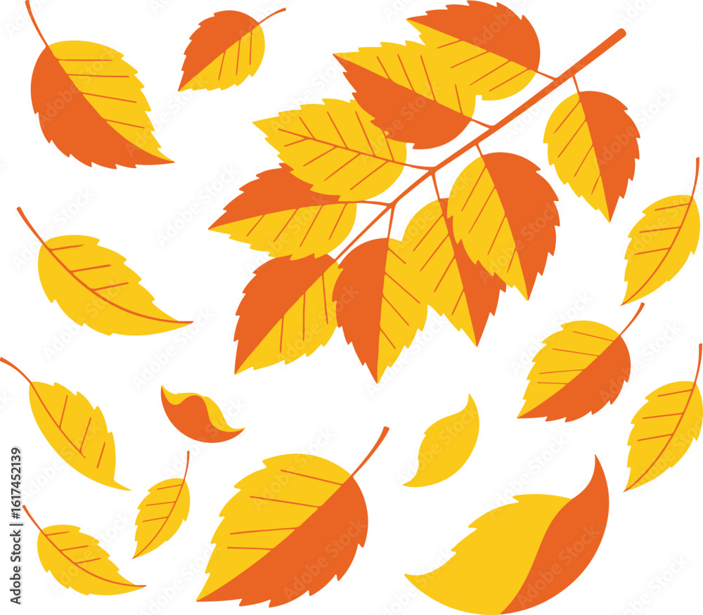 Naklejka premium Autumn leaves vector illustration