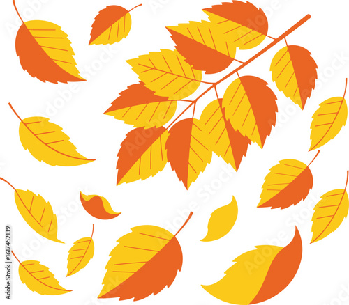 Autumn leaves vector illustration