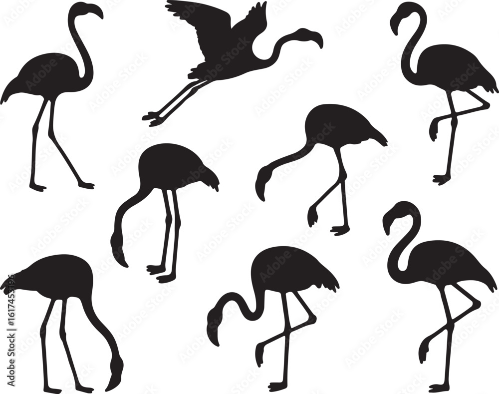 Fototapeta premium Black flamingo silhouettes in various poses white bird
