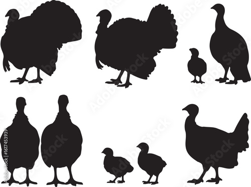 Black turkey silhouettes with chicks bird poultry