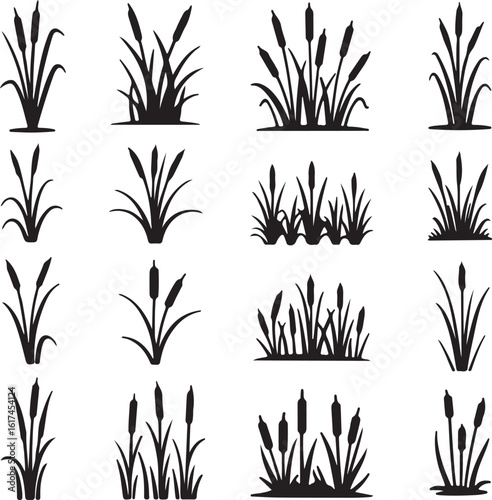 Cattail plants silhouette collection bulrush reed