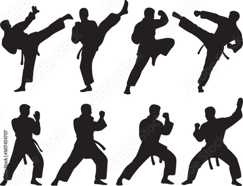 Martial artists in action poses karate martial arts