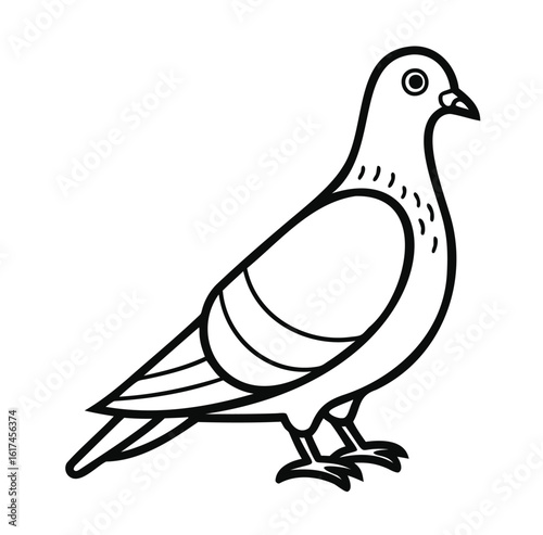 Pigeon Outline Vector – Minimal Bird Silhouette on White Background