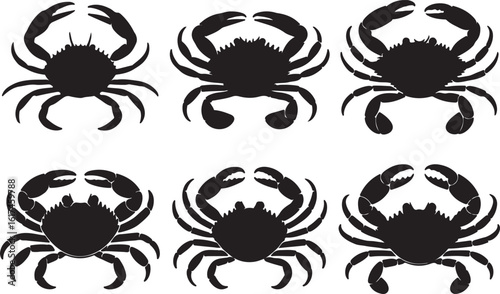 Black crab silhouette collection marine life crustacean