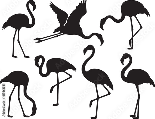 Black flamingos in various poses flying standing resting silhouette bird
