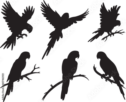 Black silhouette parrots perched flying macaw birds vector