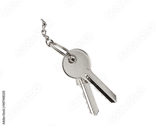 Obraz na plátne two metal keys isolated on white background