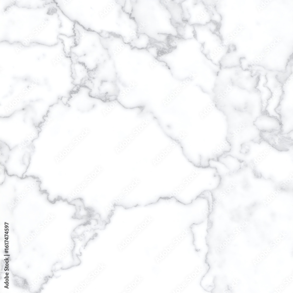 Obraz premium White marble texture (2)