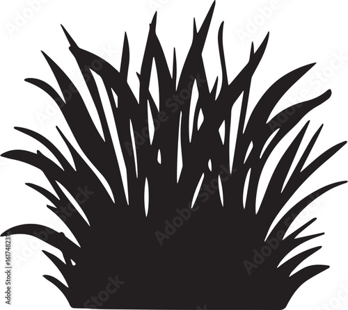 Grass Silhouette vector illustration	
