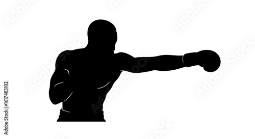 A silhouetted boxer throws a powerful punch.