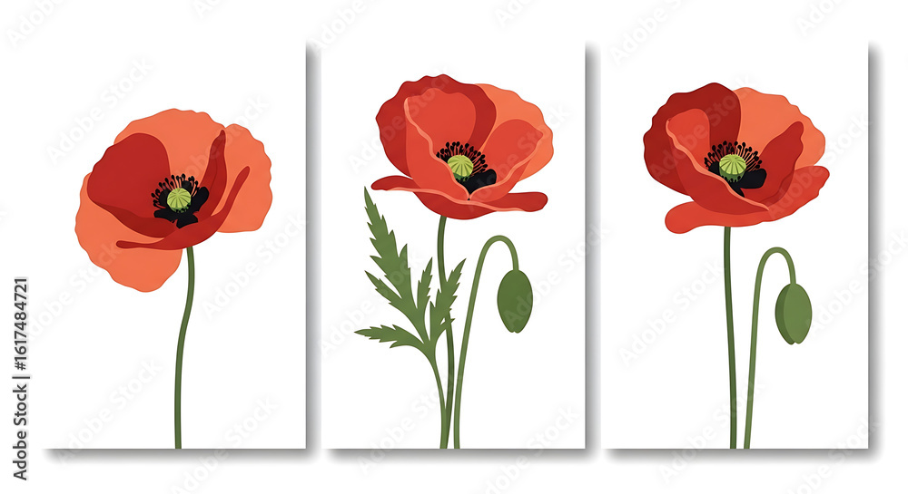 Obraz premium Red Poppy Flower Triptych Minimalist Botanical Art Print