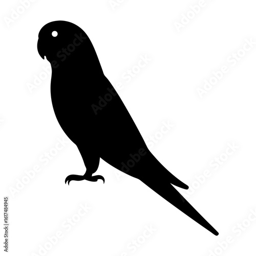 Fototapeta Black silhouette of a parakeet perched, isolated against a white background
