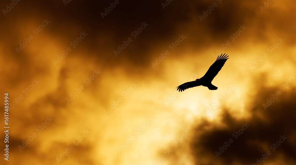 Fototapeta premium A majestic bald eagle soaring through a dramatic golden-hued sky.