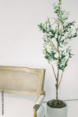 Studio Blank Space Home Tree Bench