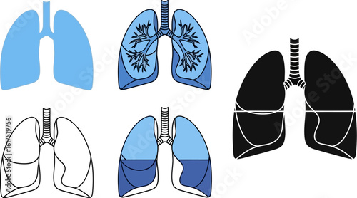 Lung health illustration vector design for respiratory system anatomy and medical infographics use