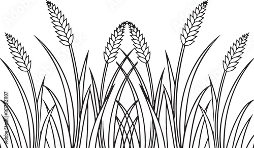 Black and white illustration of wheat stalks and grass