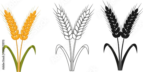 Wheat ears vector illustration set, agriculture design, grain harvest, farming and bakery concept