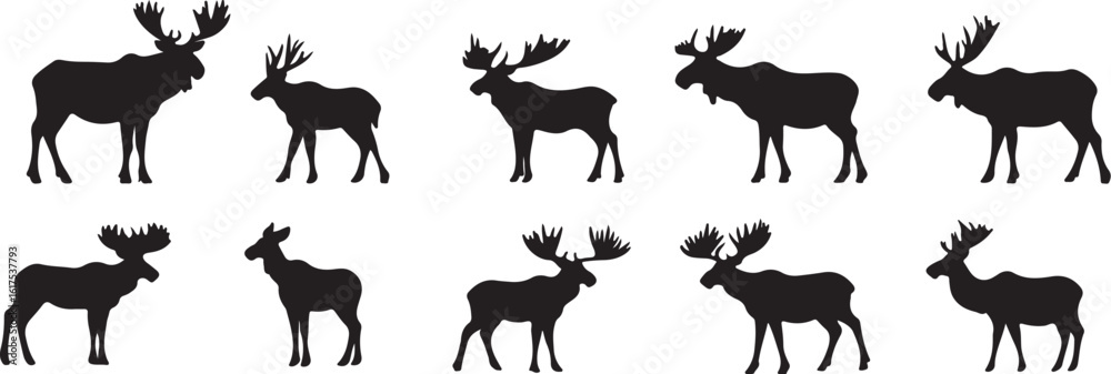 Fototapeta premium Moose Silhouette Collection Black and White Vector Art Wildlife Animals