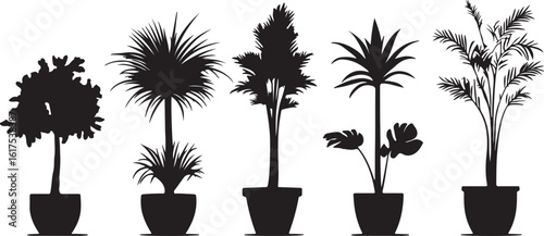 Silhouette Plant Pots Collection Black and White Vector Illustration