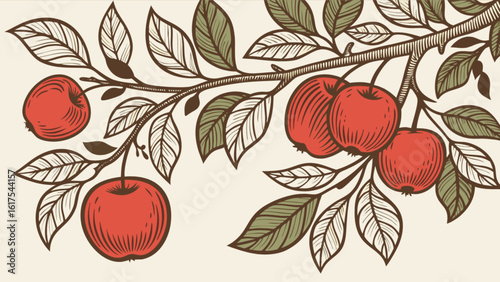 A vintage illustration of a branch with ripe red apples and green leaves