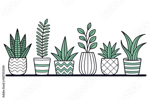A Collection of Potted Green Plants in Different Decorative Containers Lined Up