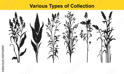 Black Silhouette Collection: Various Grasses and Plants Illustration