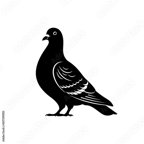 Vector art of a pigeon isolated on white background is standing in profile