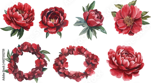 Watercolor Red Peony Flower Set with Wreaths on White Background