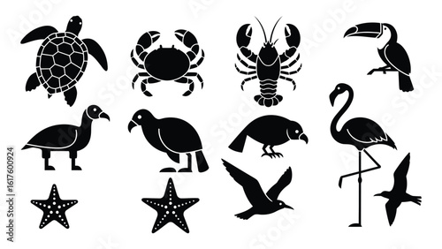 Collection of Diverse Aquatic and Avian Creatures, Featuring Starfish, Turtle, Crab, Lobster, Toucan, Flamingo, and Seagulls