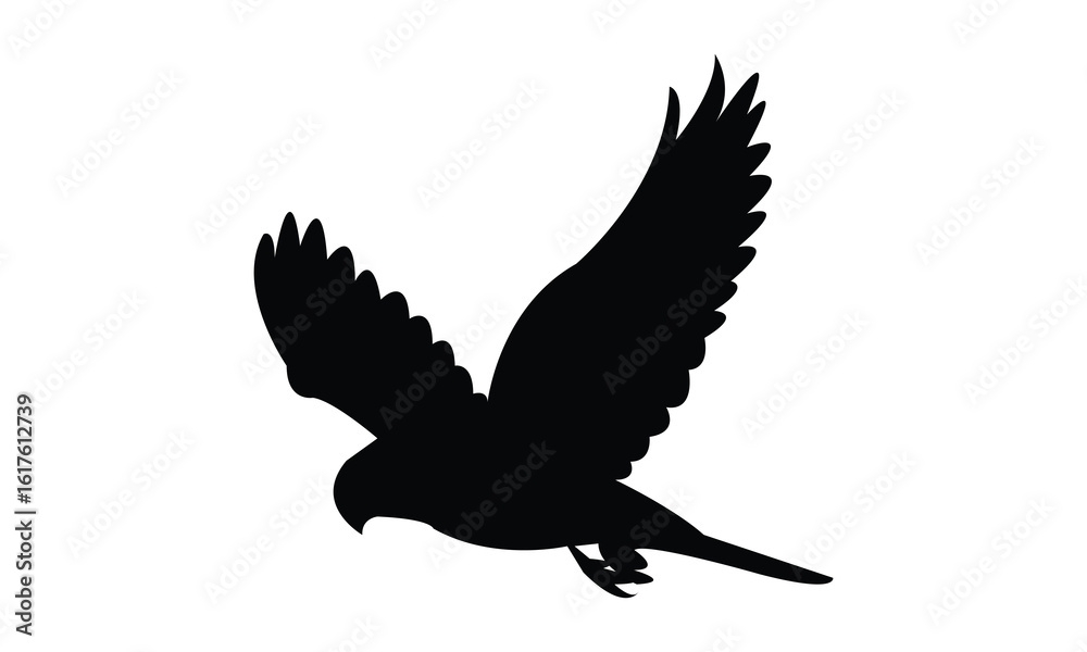 Obraz premium Flying American kestrel bird Silhouette Design And Vector Illustration. 