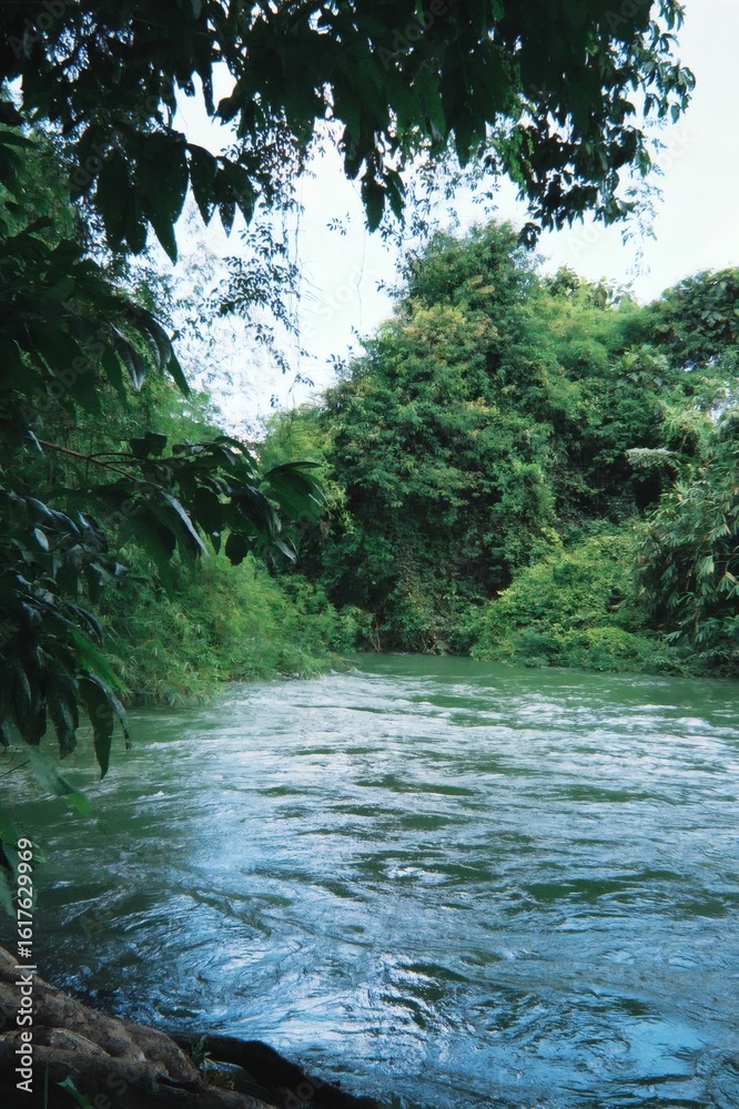 Naklejka premium A Serene River Meanders Through the Heart of a Vibrant, Untouched Tropical Jungle, Reflecting the Lush Green Canopy Above in its Tranquil Waters, a Pristine Natural Oasis.