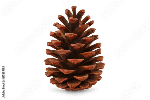 Pine cone lying isolated on transparent surface, complementing winter holiday graphics with natural woodland aesthetic