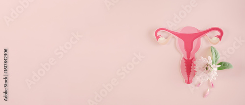 Konstfotografi uterus and pink flowers, female reproductive system , woman health, PCOS, menopa