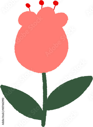 꽃