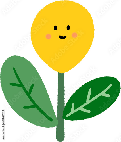 꽃