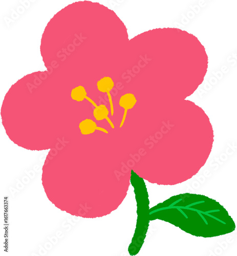 꽃
