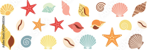 A collection of various seashells and starfish isolated on white background