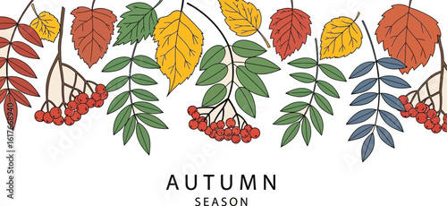 Autumn leaves and berries border with the words autumn season on a white background