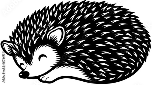 Cute black and white sleeping hedgehog illustration