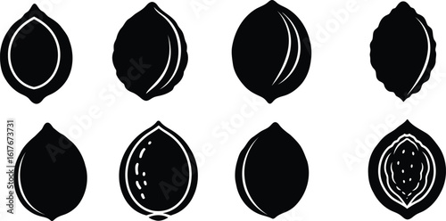 Peach Pit Silhouette Icon Vector Set - Stone Fruit Core