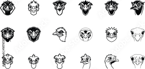 Collection of various ostrich head illustrations silhouette
