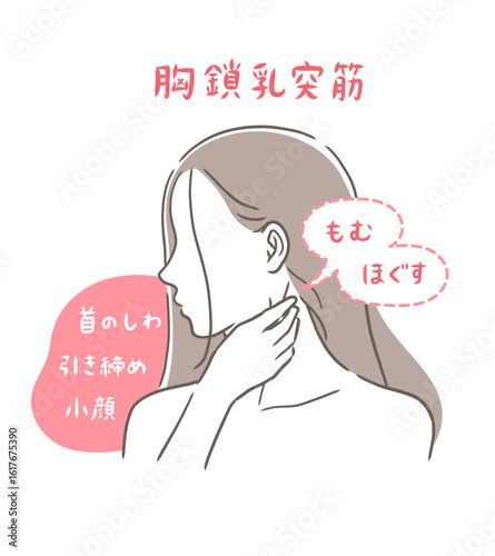 胸鎖乳突筋をほぐす女性のイラスト素材