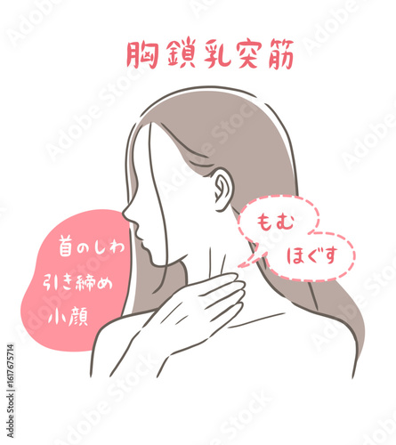 胸鎖乳突筋をマッサージする女性のイラスト素材