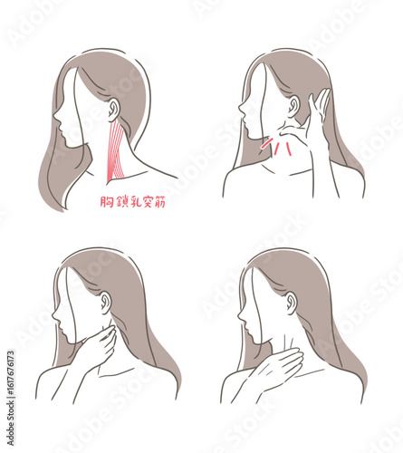 胸鎖乳突筋をマッサージする女性のイラストセット