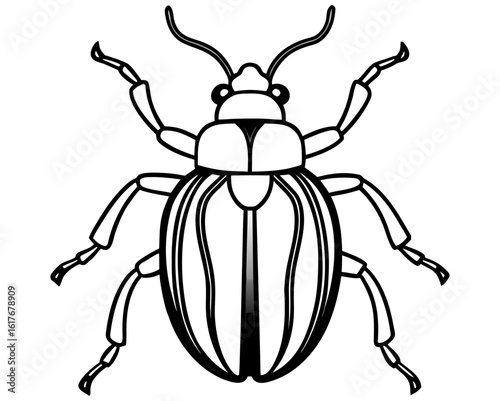 Detailed outline drawing of a beetle with six legs and antennae