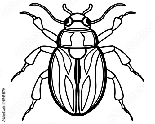 Detailed outline drawing of a beetle with six legs and antennae