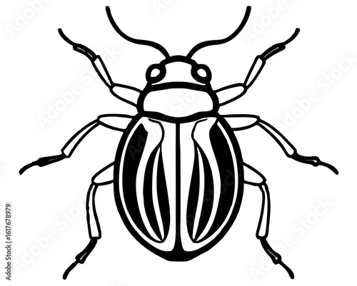 Stylized black and white illustration of a striped beetle