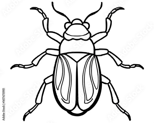 Stylized black and white line drawing of a beetle